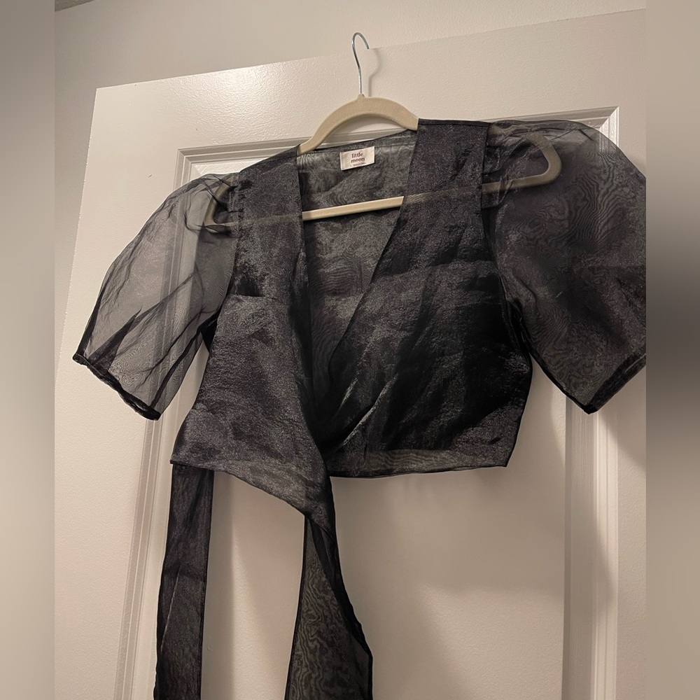 ARITZIA Sheer black blouse